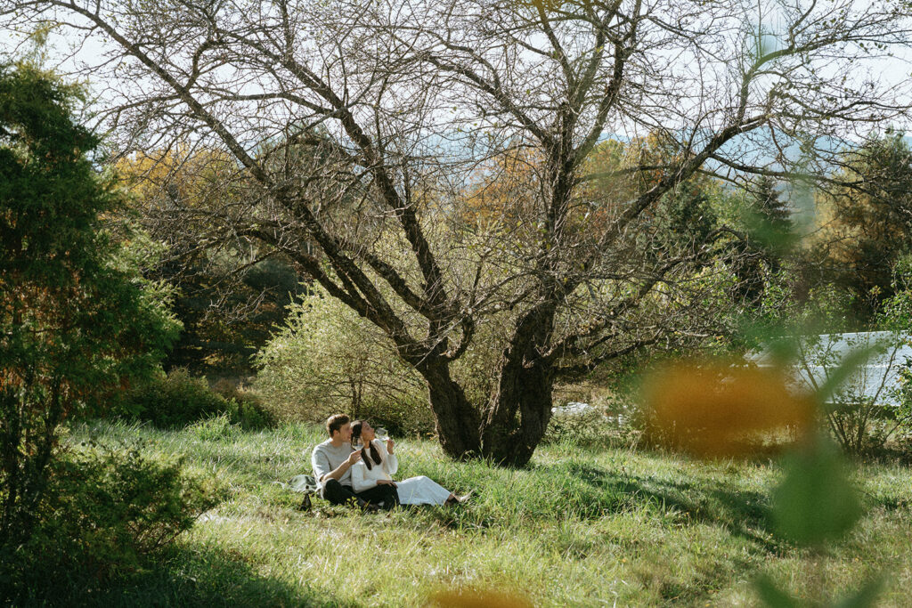 Vermont engagement photos under a tree with wine, by Elsie Goodman Photography.