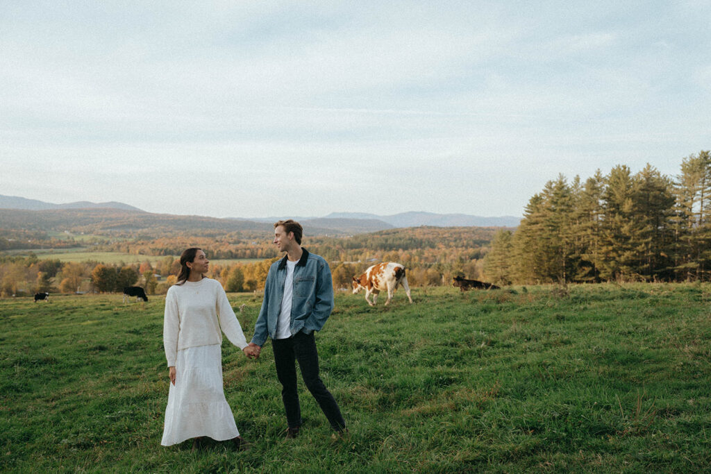 Couple holding hands in a field during their Vermont engagement session, cows and fall trees behind, by Elsie Goodman.