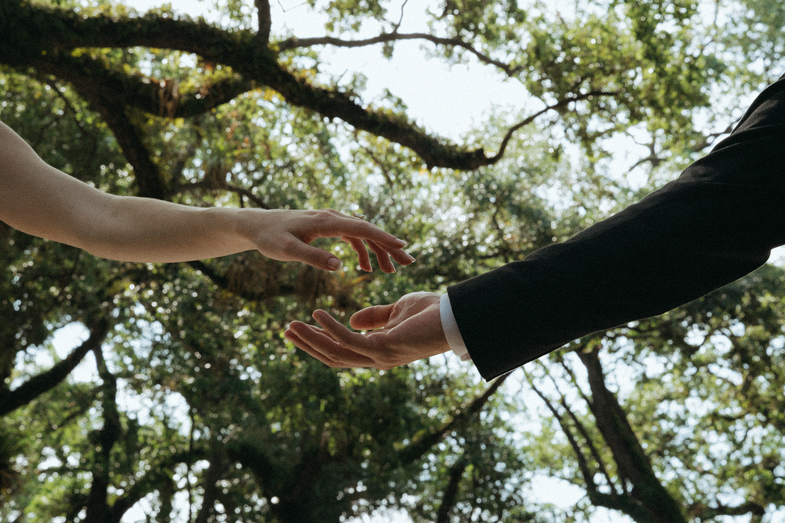 Viscaya Bride and grooms arms outstretched, reaching towards each other, big mossy trees are behind them