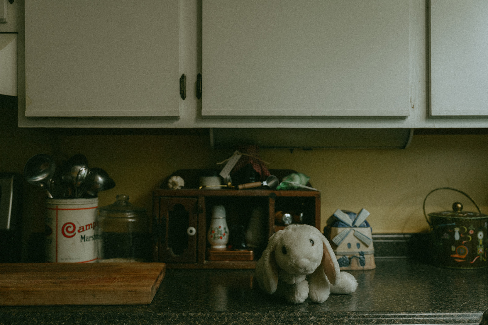 Stuffed bunny on the kitchen counter Mom, Dad, child and dog all sit on the front steps of their house by maternity, family, and wedding photographer Elsie Goodman.