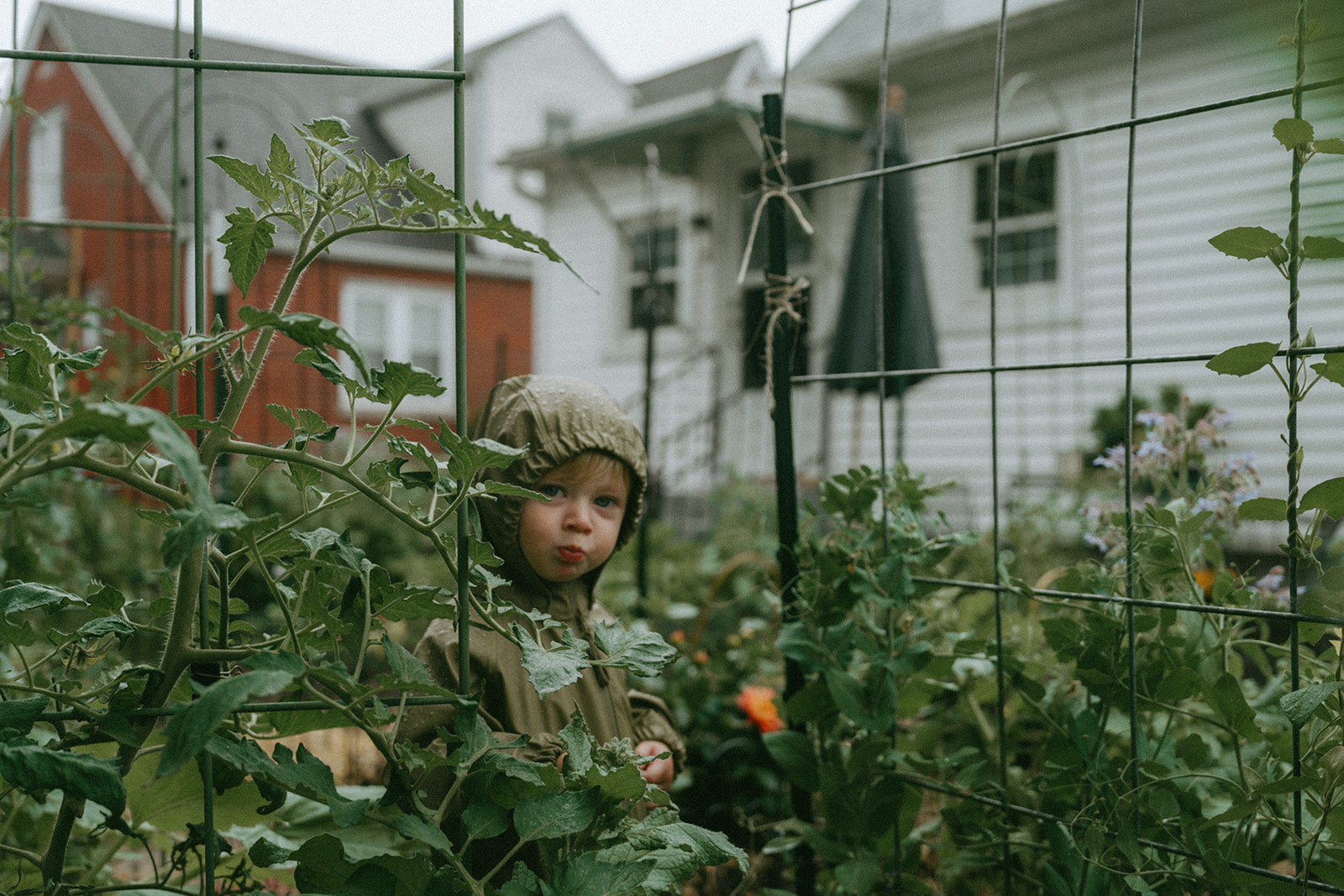 Child in a rain jacket in the garden during a rainy day by maternity, family, and wedding photographer Elsie Goodman.