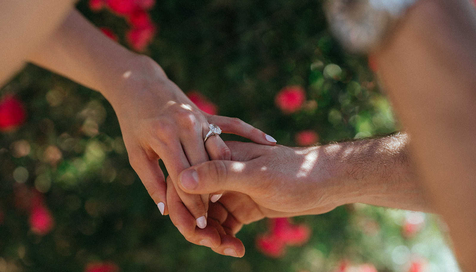 Man holding woman's hand with diamond ring against flowers at Planting Fields Arboretum