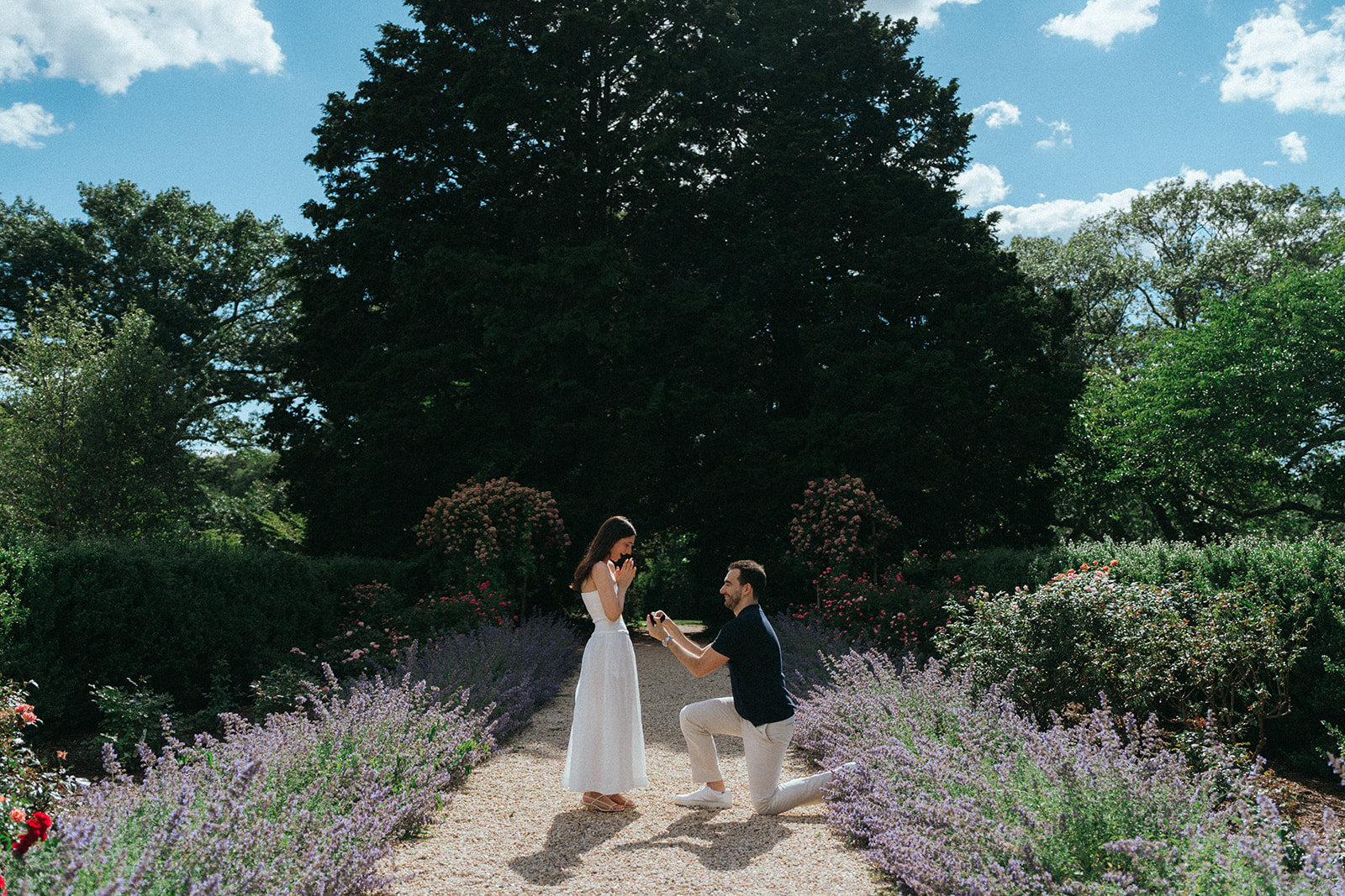 Man on one knee during a Planting Fields Arboretum proposal